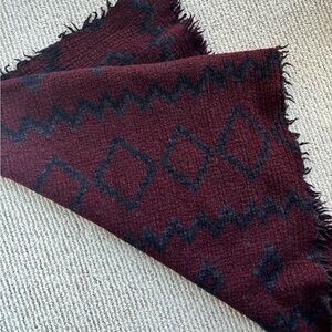 Aritzia blanket scarf (wilfred)